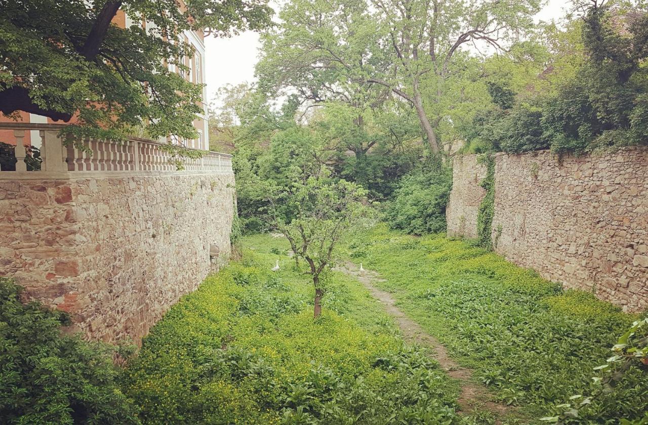Schloss * Schrattenthal